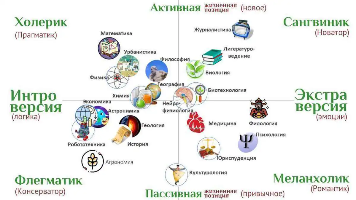 Темперамент и профессия. Влияние на выбор